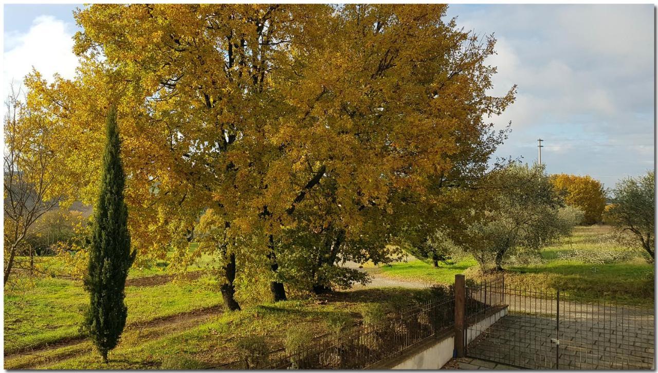 Villino Cortona - Casa Vacanze A Cortona Con Piscina Privata Wifi, Ac - Toscana - Nelle Vicinanze Perugia, Assisi, Montepulciano, Pienza, Siena Extérieur photo