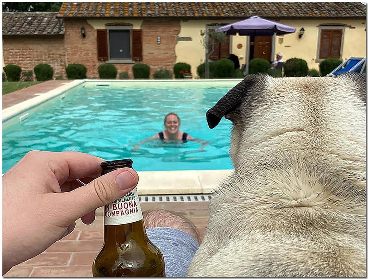 Villino Cortona - Casa Vacanze A Cortona Con Piscina Privata Wifi, Ac - Toscana - Nelle Vicinanze Perugia, Assisi, Montepulciano, Pienza, Siena Extérieur photo